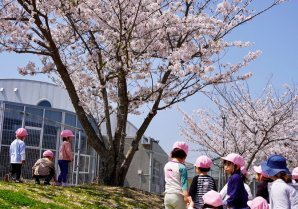 【東北に春を告げるまち広野町】4月の広野町はたくさんの“春”で満ち溢れています#東北に春を告げるまち #福島県 #fukushima #...