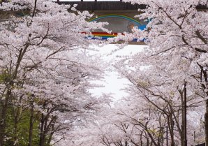 【東北に春を告げるまち広野町】4月の広野町はたくさんの“春”で満ち溢れています#東北に春を告げるまち #東北 #福島県 #fukus...