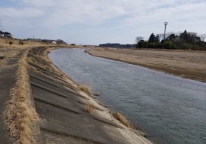 浜通りの被災地を回る中継4箇所目は浪江町です。町のシンボルとして脚光を集めるトルコギキョウの栽培について伺います。写真は浪江...